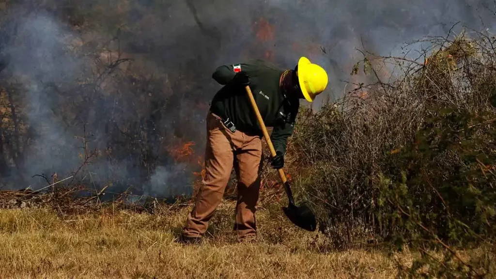Incendios forestales en Puebla incrementaron 51% en menos de dos semanas