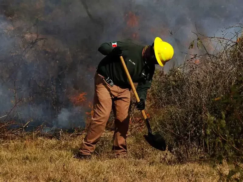 Incendios forestales en Puebla incrementaron 51% en menos de dos semanas