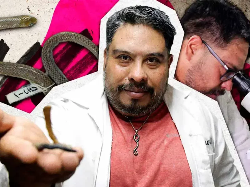 Académico de la BUAP descubre nueva especie de serpiente endémica en Puebla