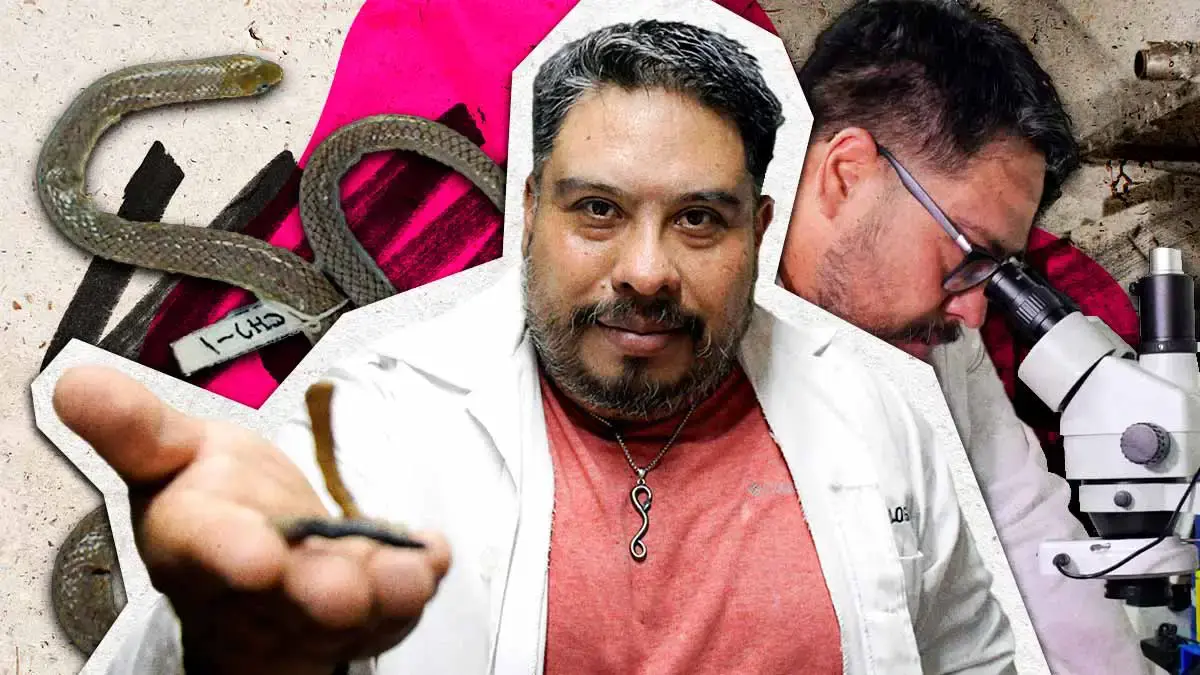 Académico de la BUAP descubre nueva especie de serpiente endémica en Puebla