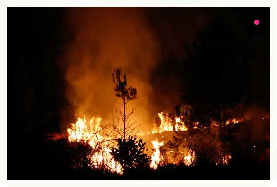 Controlan al 95% incendio del Cerro Zapotecas en San Pedro Cholula; reportan saldo blanco