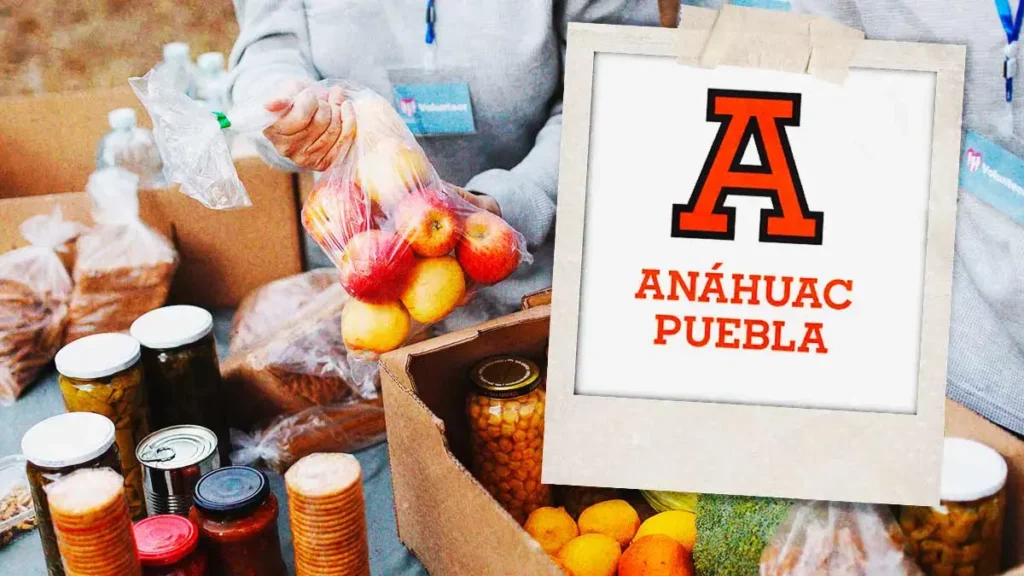 Anáhuac Puebla, Mario Bautista, Mau y Ricky recaudan 1.5 toneladas de alimentos para DIF Cholula
