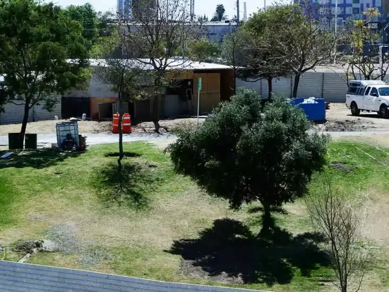 Inicia reforestación de diez mil árboles por obras del cablebús en Puebla