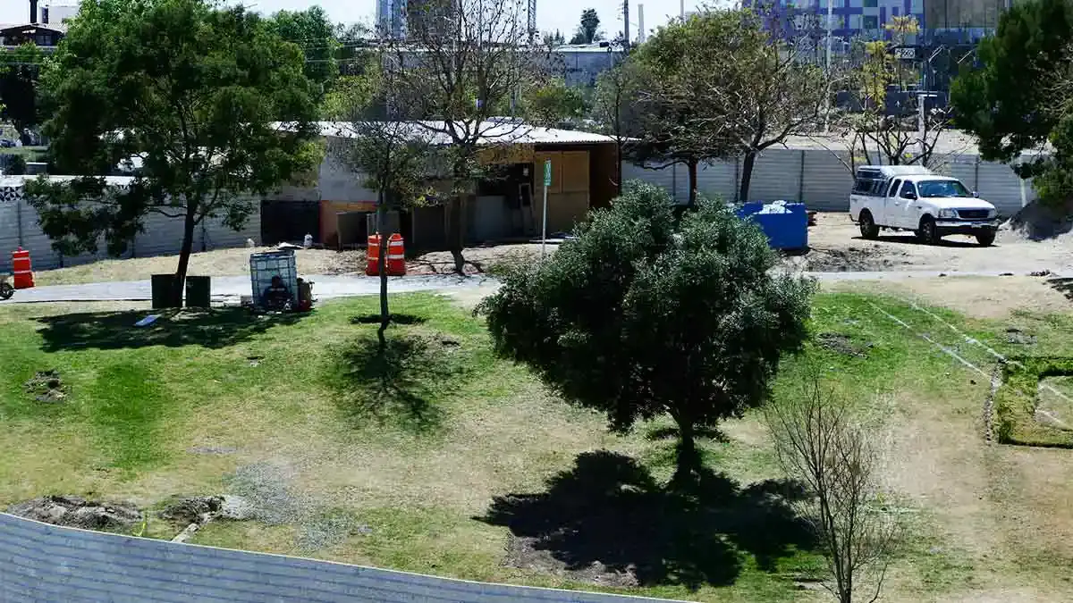 Inicia reforestación de diez mil árboles por obras del cablebús en Puebla