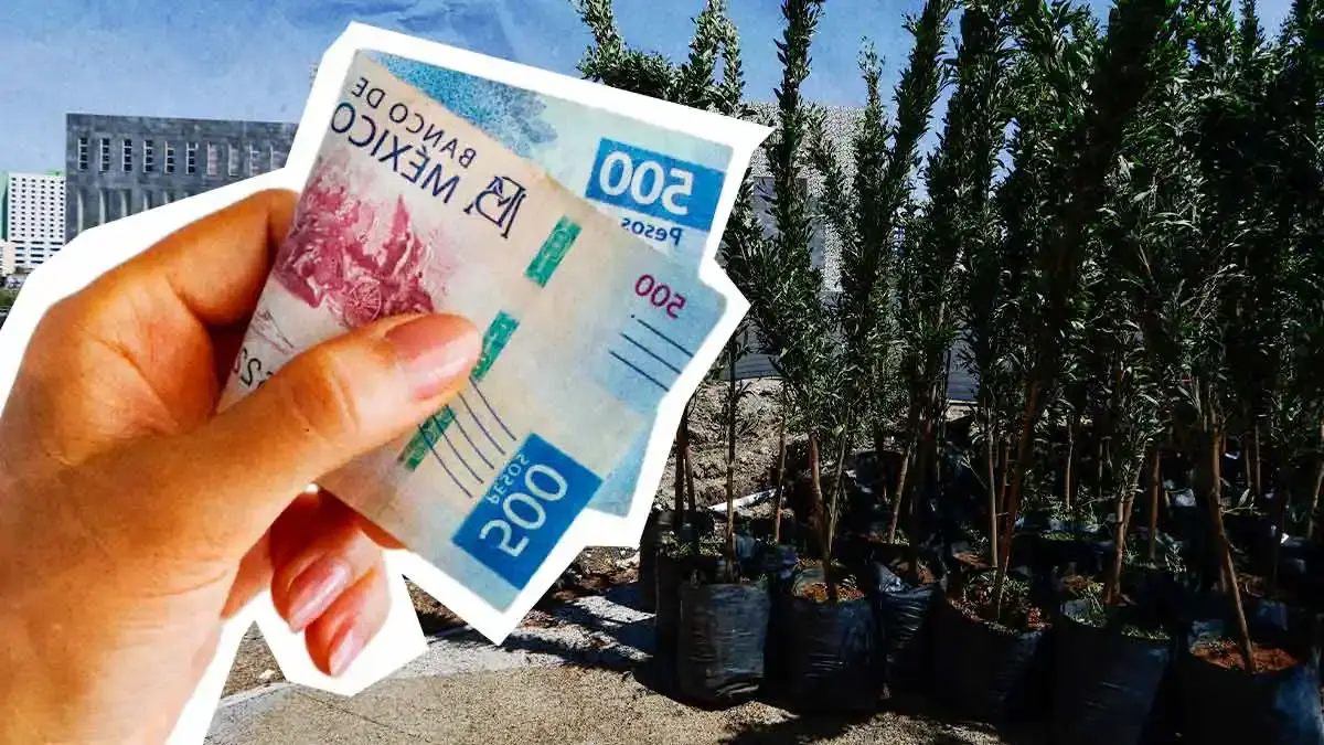 Ayuntamiento de Puebla impulsa megaplan de reforestación con 53 especies y ocho mdp