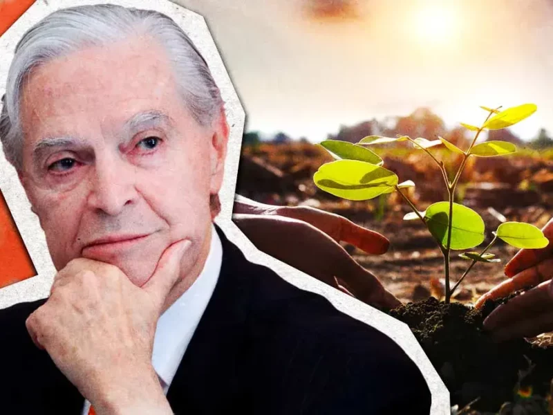 Programa de reforestación tendría que priorizar zonas habitadas de Puebla: Udlap