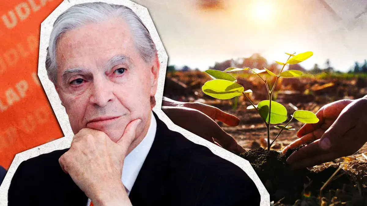 Programa de reforestación tendría que priorizar zonas habitadas de Puebla: Udlap