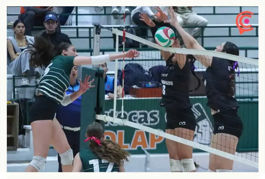 Borregos Monterrey vence a Aztecas UDLAP en voleibol femenil