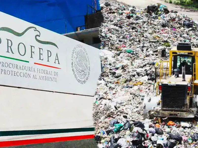 Profepa descarta contaminación por lixiviados y concluye que relleno de Chiltepeque no incurrió en irregularidades
