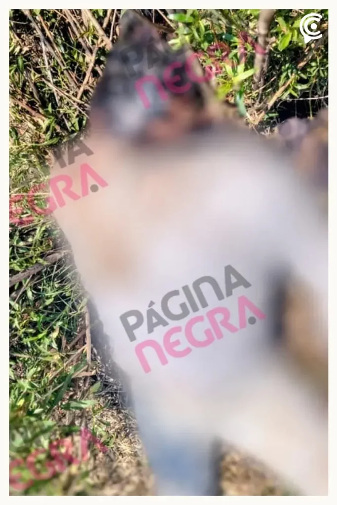 Encuentran cuerpo putrefacto y con huellas de violencia de hombre en Acatzingo, Puebla