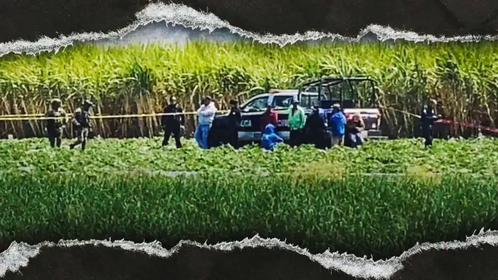 Ejecutan a balazos a hombre en Izúcar, Puebla; su hijastra halló el cuerpo