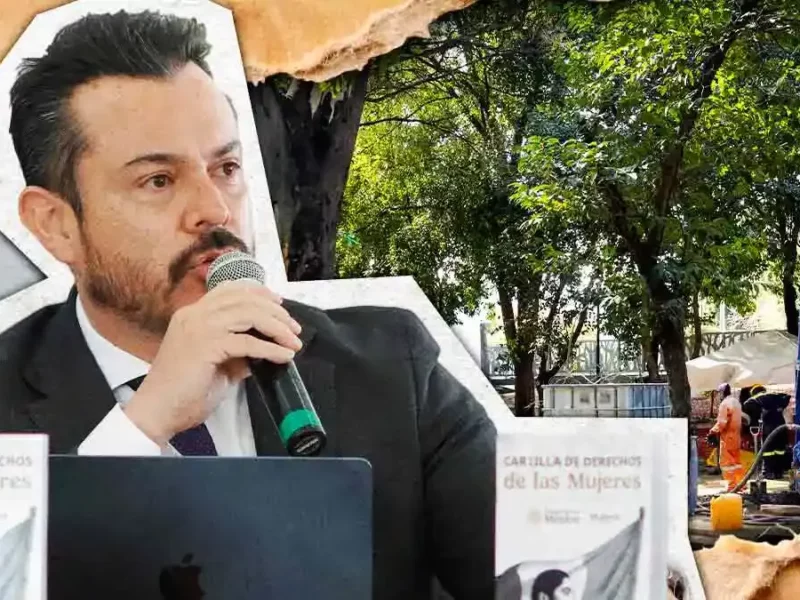 Gobierno de Puebla reduce a 117 los árboles a reubicar por el Cablebús