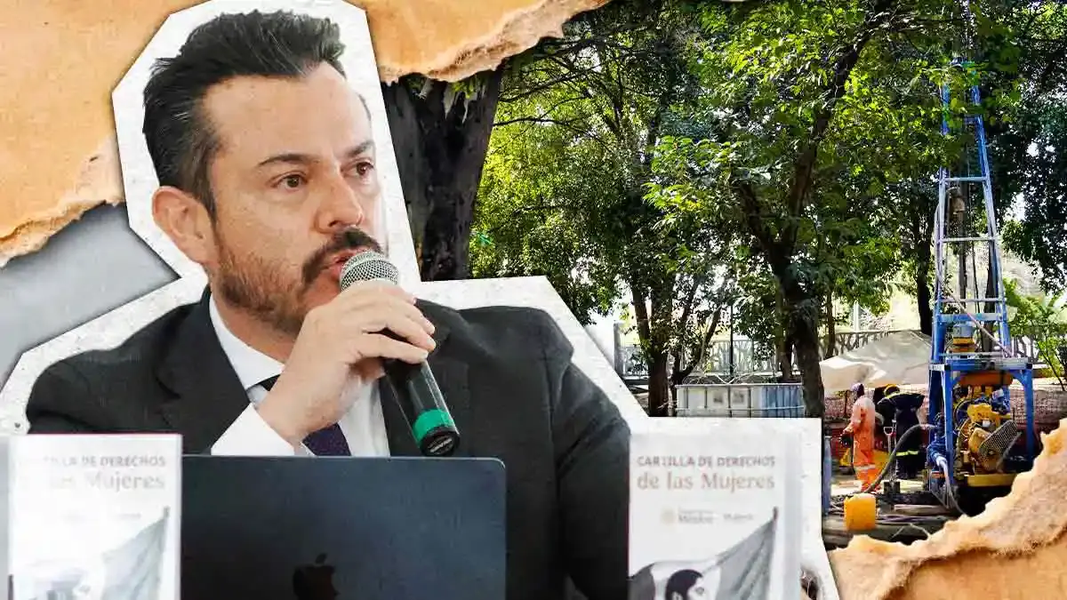 Gobierno de Puebla reduce a 117 los árboles a reubicar por el Cablebús