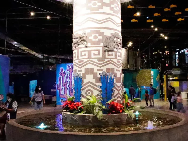 Acuario Michin, hoteles y dependencias del Ayuntamiento de Puebla serán "Puntos Seguros" para mujeres