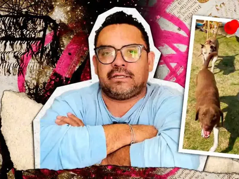 El estruendo de la pirotecnia puede causar daños significativos a las mascotas, por lo que es necesario mantener ciertos cuidados