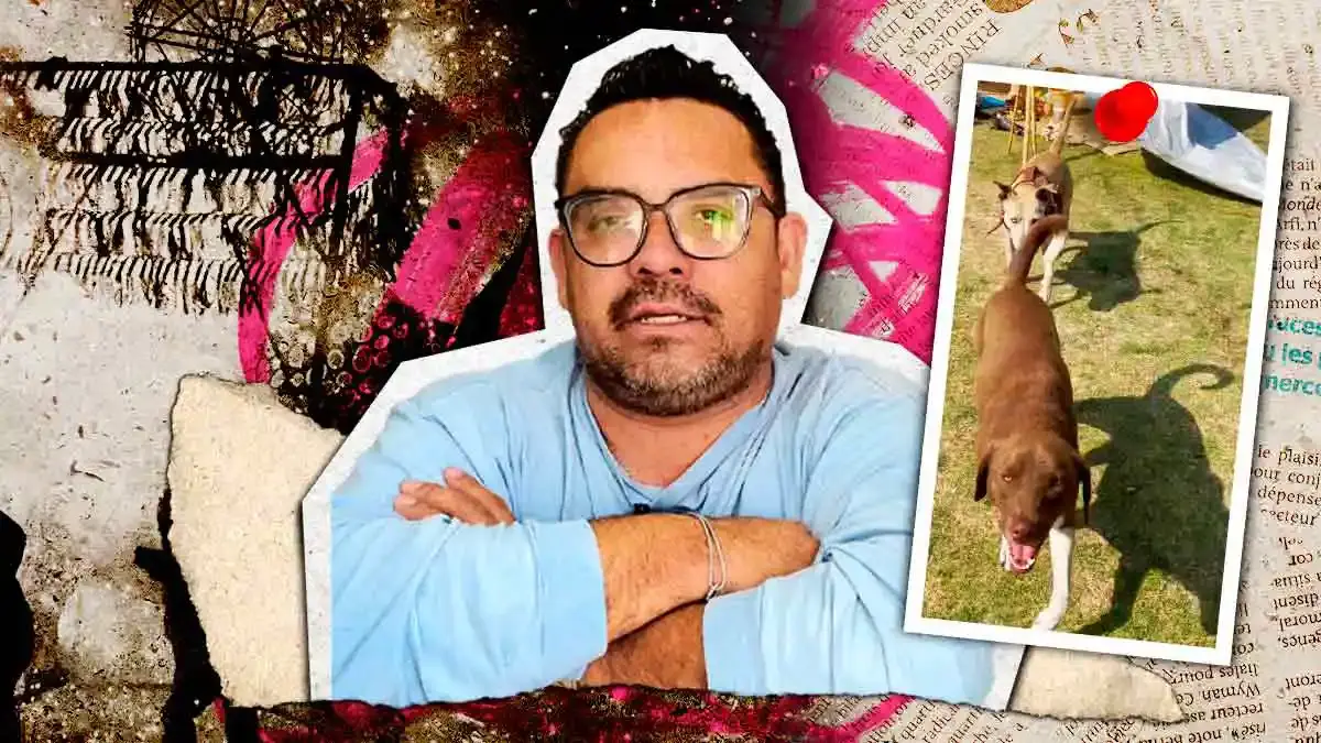 El estruendo de la pirotecnia puede causar daños significativos a las mascotas, por lo que es necesario mantener ciertos cuidados