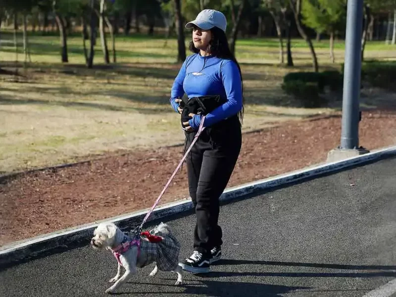 Parque Ecológico de Puebla será pet friendly solo durante la Caminata de Modo Saludable 2026