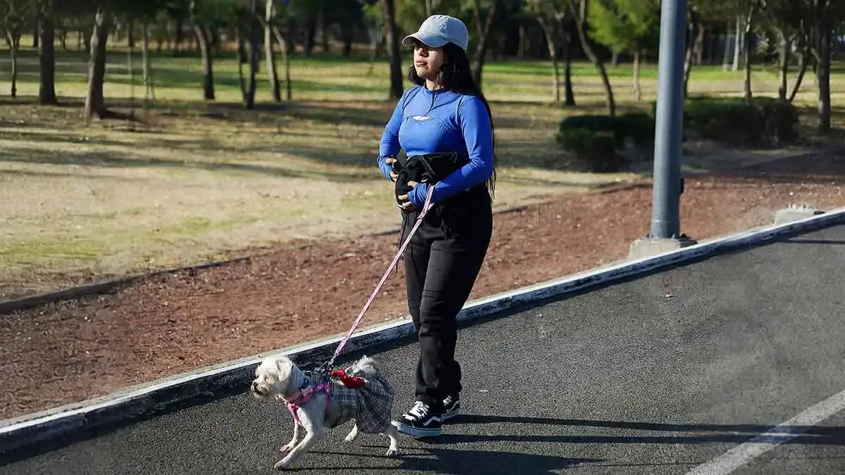 Parque Ecológico de Puebla será pet friendly solo durante la Caminata de Modo Saludable 2026