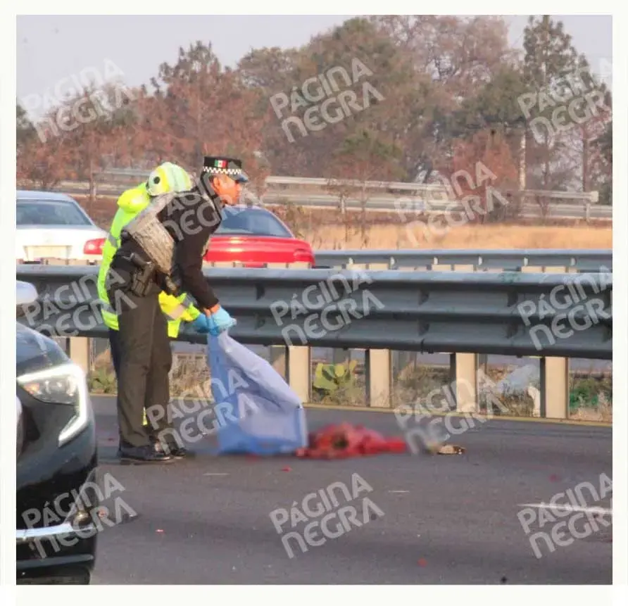 Hombre murió atropellado y desmembrado en autopista Puebla-Orizaba; se desconoce la identidad de la víctima