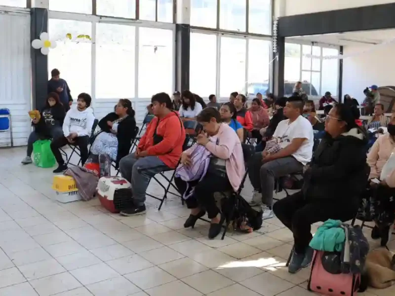 Pepe Chedraui impulsa el bienestar animal en Puebla con más de 8 mil acciones durante febrero