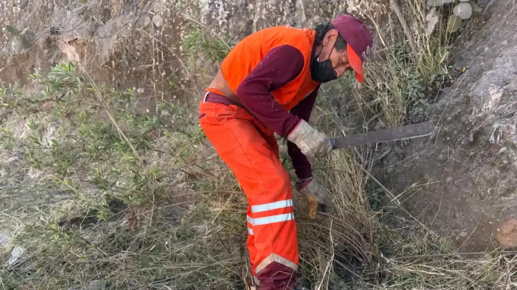 Gobierno de Pepe Chedraui fortalece la imagen urbana con intervención en Bulevar Carmelitas