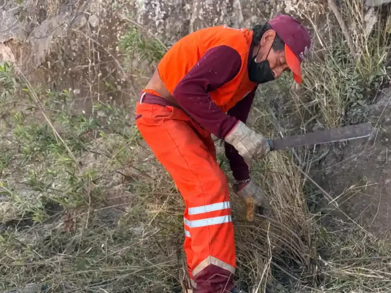 Gobierno de Pepe Chedraui fortalece la imagen urbana con intervención en Bulevar Carmelitas