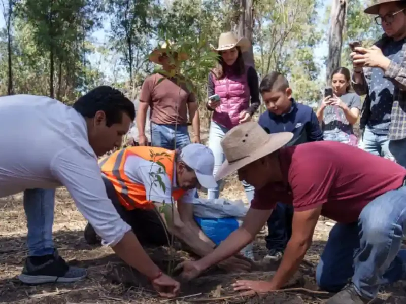 Refuerza gobierno de Pepe Chedraui acciones de reforestación en la capital poblana