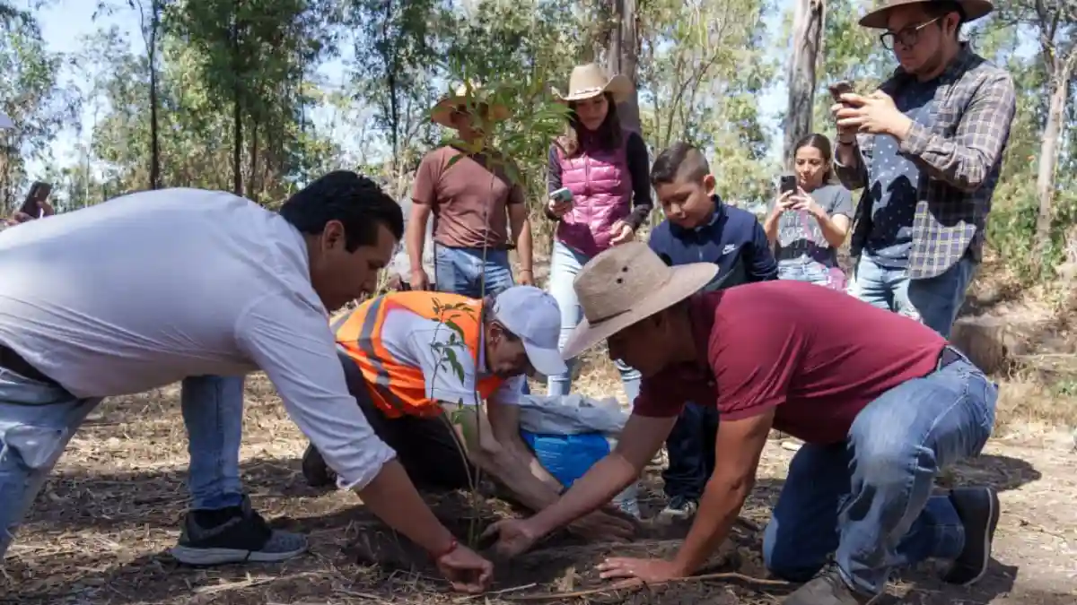 Refuerza gobierno de Pepe Chedraui acciones de reforestación en la capital poblana