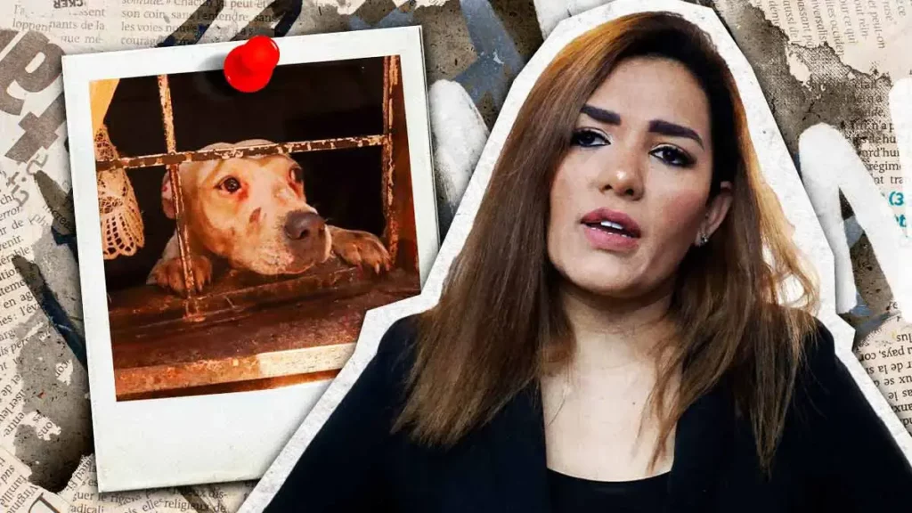 DIF Estatal tendrá facultad para sancionar maltrato animal en Puebla tras incorporación del IBA