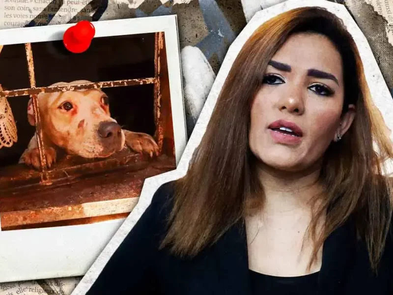 DIF Estatal tendrá facultad para sancionar maltrato animal en Puebla tras incorporación del IBA
