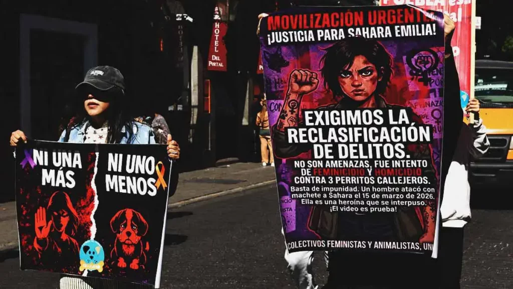 Sahara Emilia exige justicia tras agresión con machete por defender a perros en Puebla 