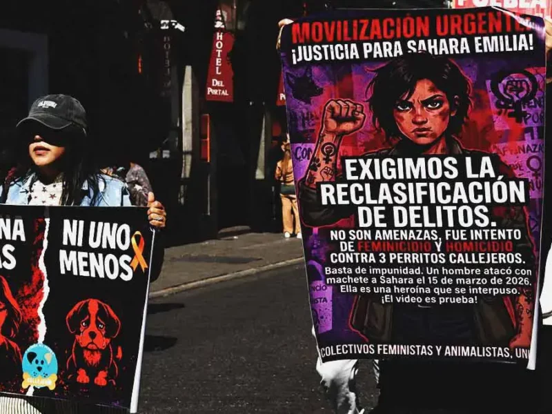 Sahara Emilia exige justicia tras agresión con machete por defender a perros en Puebla 