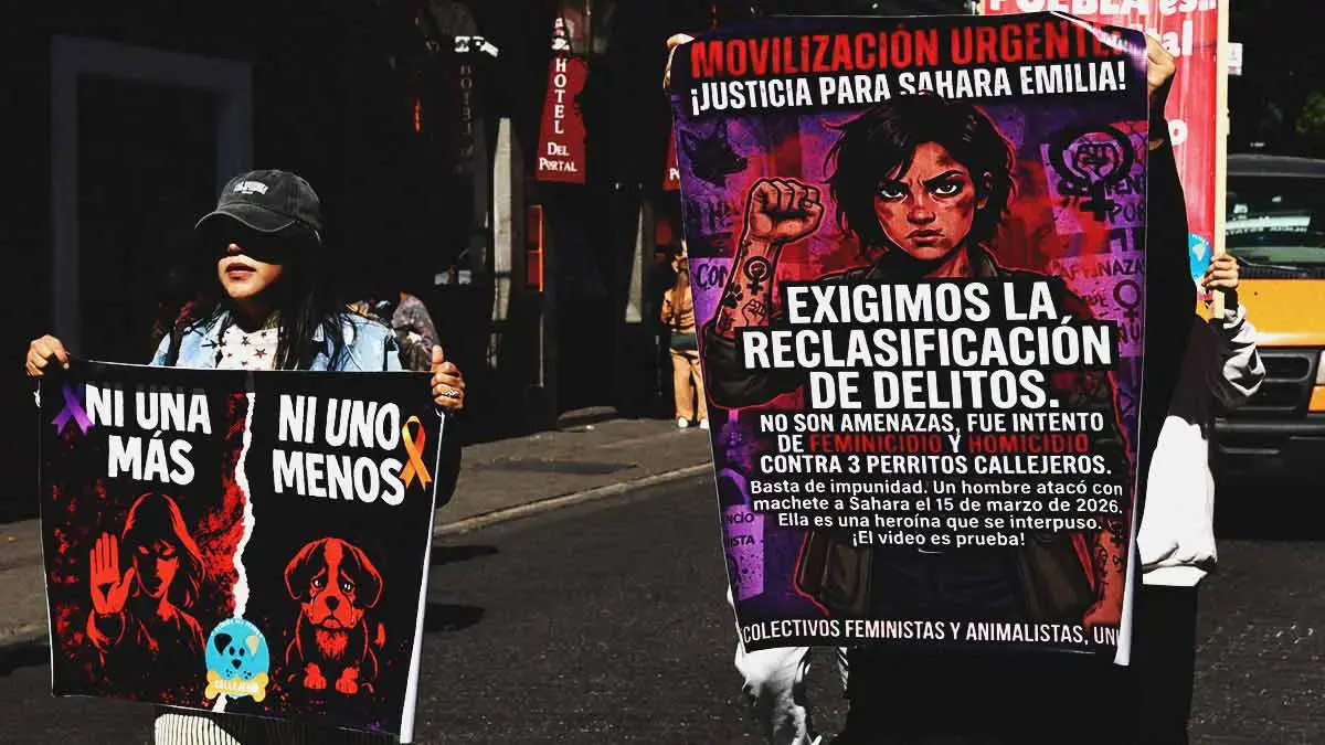 Sahara Emilia exige justicia tras agresión con machete por defender a perros en Puebla 