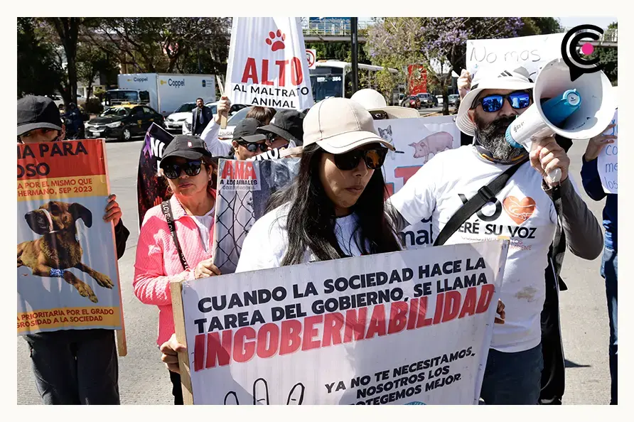Sahara Emilia exige justicia tras agresión con machete por defender a perros en Puebla 