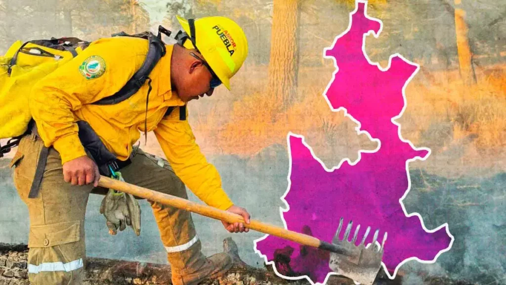 Puebla acumula 132 incendios forestales durante el primer trimestre de 2026: Protección Civil Estatal 