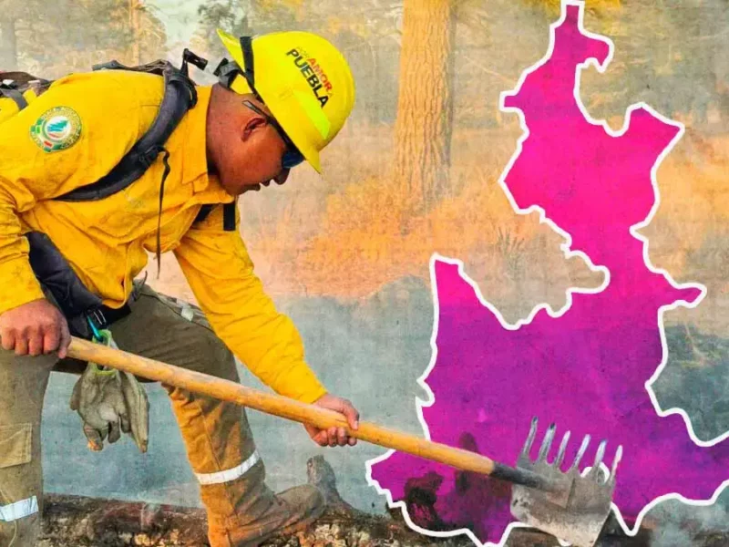 Puebla acumula 132 incendios forestales durante el primer trimestre de 2026: Protección Civil Estatal 