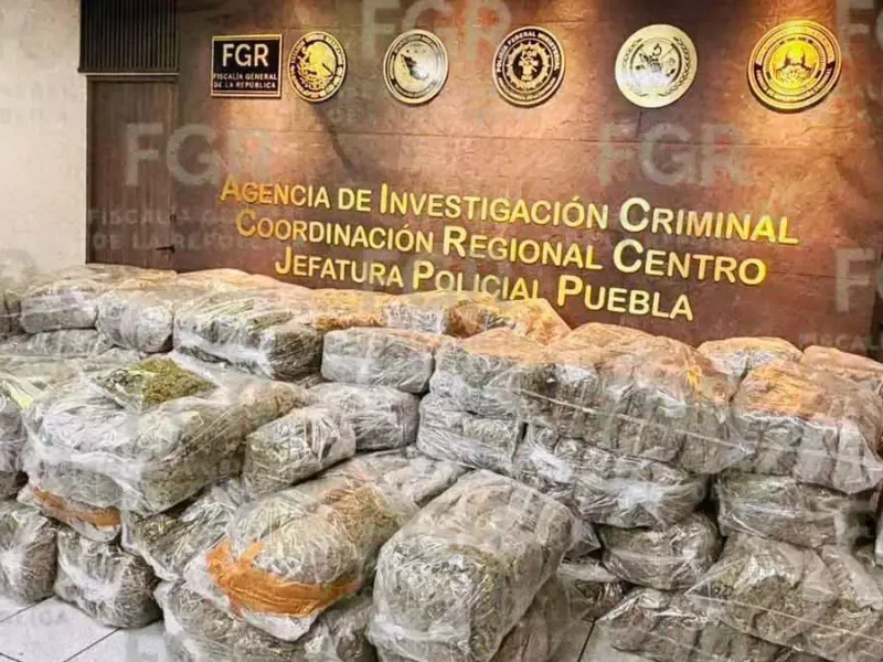 FGR vincula a proceso a hombre con casi 700 kilos de marihuana en Puebla