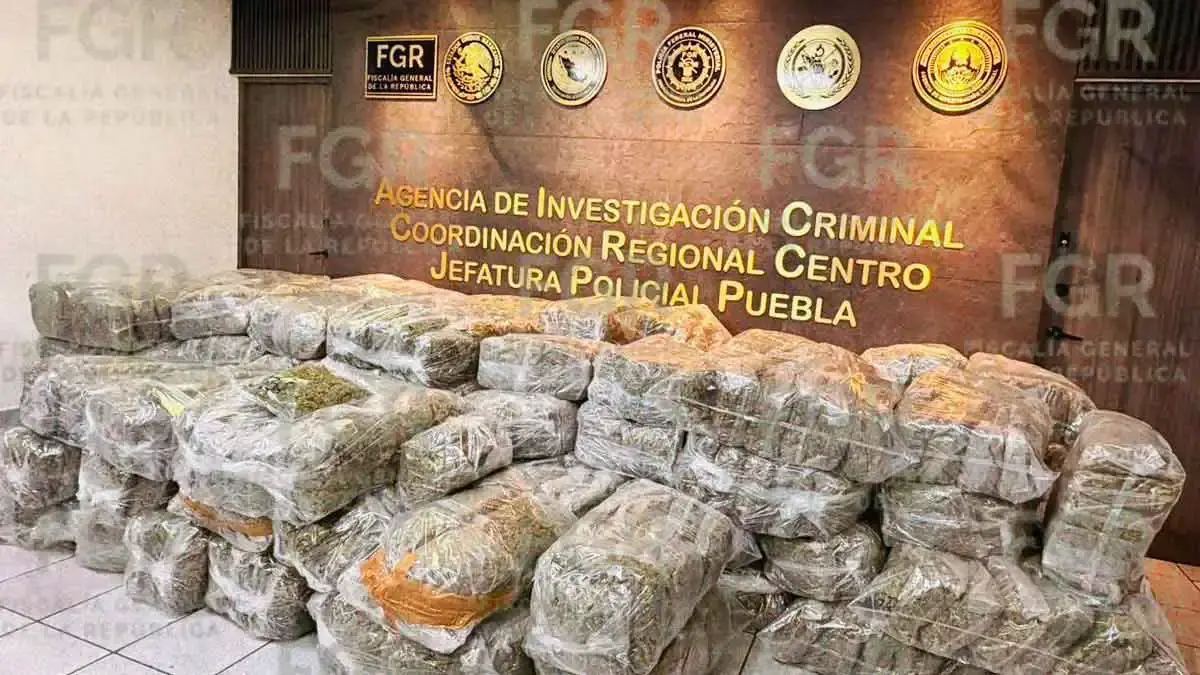 FGR vincula a proceso a hombre con casi 700 kilos de marihuana en Puebla