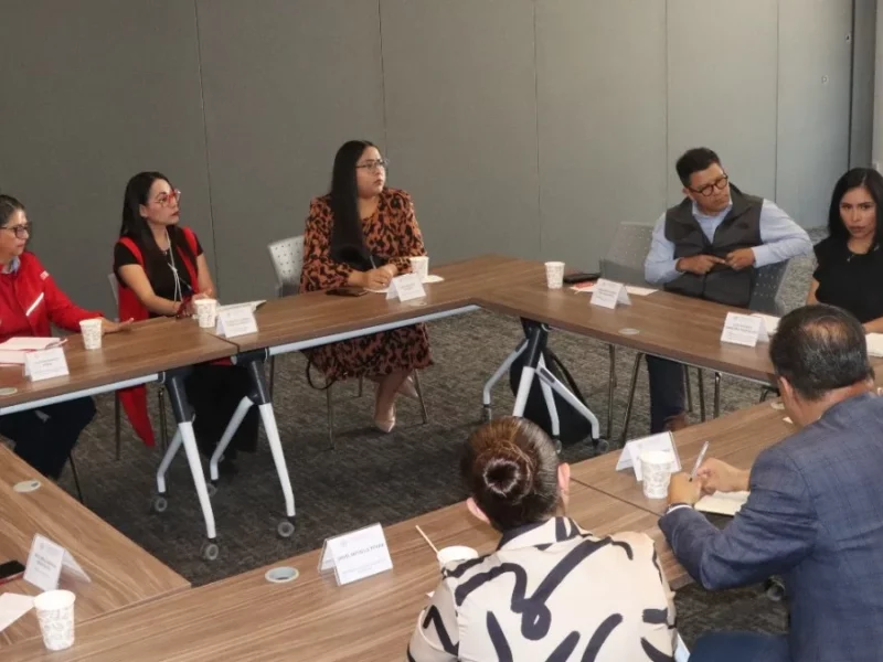 Con la inclusión de jóvenes, avanza la construcción de la Ley de Participación Ciudadana