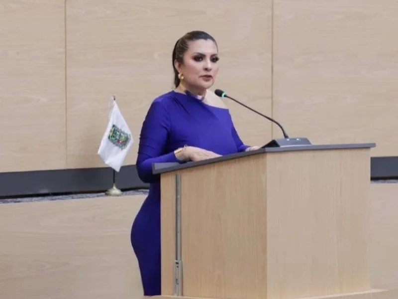 Delfina Pozos propone diagnóstico obligatorio al inicio de cada gestión  