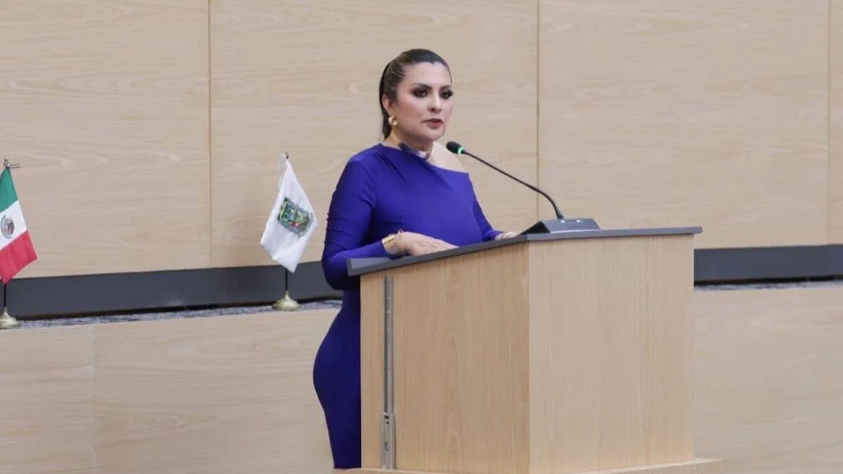Delfina Pozos propone diagnóstico obligatorio al inicio de cada gestión  