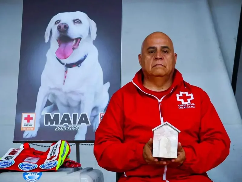 Cruz Roja Puebla rinde homenaje póstumo a Maia, destacada rescatista canina del SAR K-9
