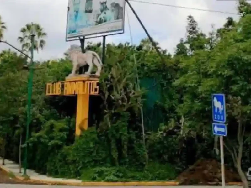 Ayuntamiento de Tehuacán impulsa alternativas para preservar “El Club de los Animalitos” como espacio de bienestar y turismo