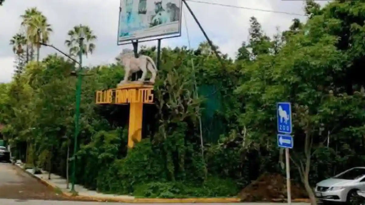 Ayuntamiento de Tehuacán impulsa alternativas para preservar “El Club de los Animalitos” como espacio de bienestar y turismo