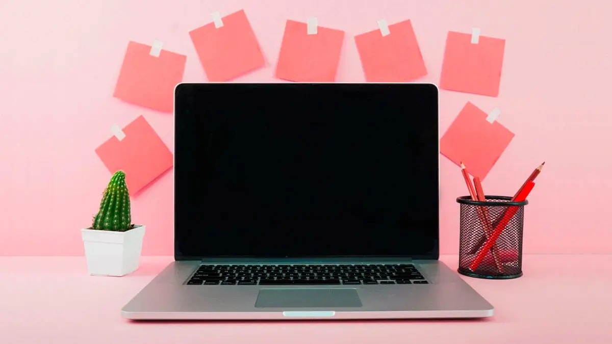 ¿Cómo seleccionar una computadora portátil ligera para estudiantes?
