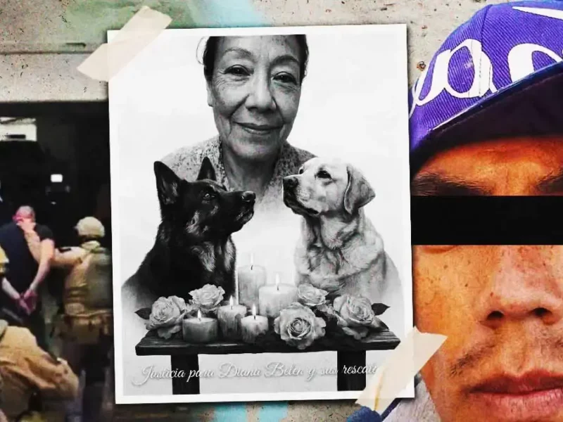 Detienen a Octavio N., presunto feminicida de la rescatista Anaid Belén Ramírez en el Edomex