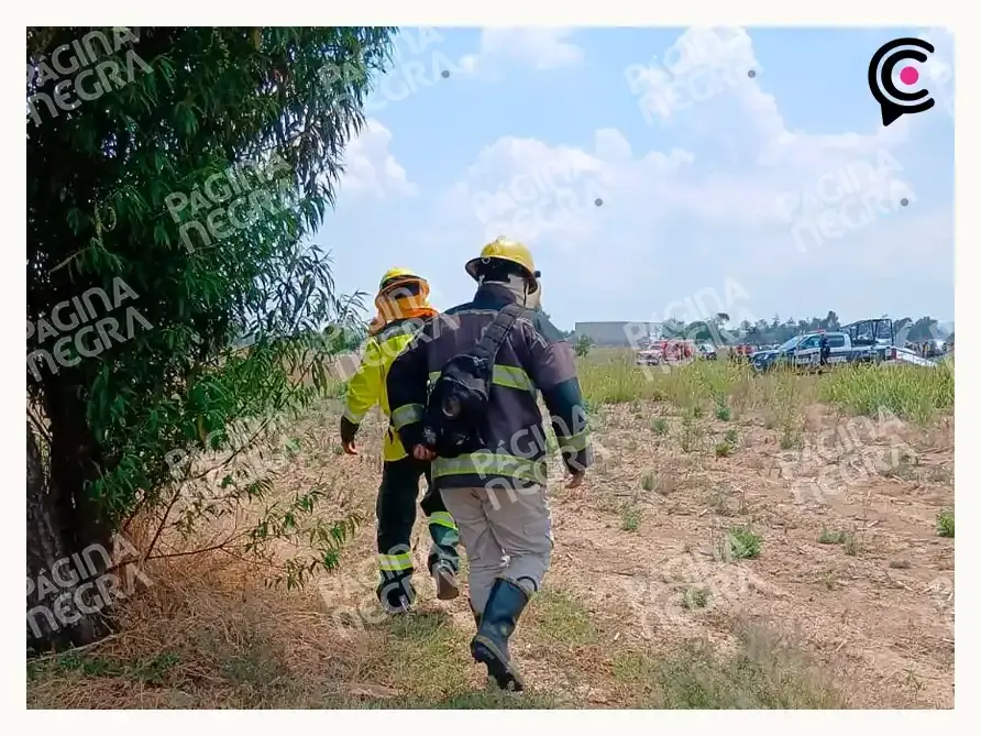 Avioneta se desploma en Huejotzingo, Puebla; accidente deja tres muertos