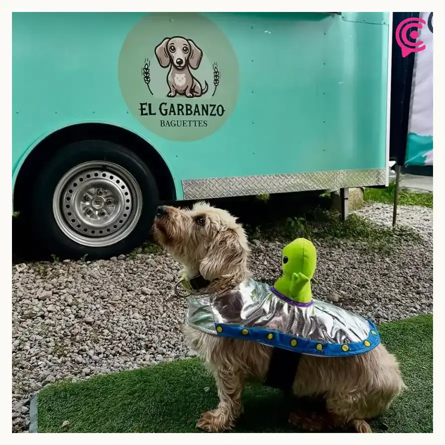 Descubre El Garbanzo, el food truck que conquista Cholula con baguettes y bagels