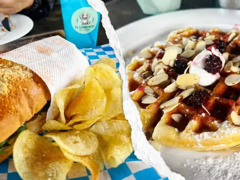 Descubre El Garbanzo, el food truck que conquista Cholula con baguettes y bagels