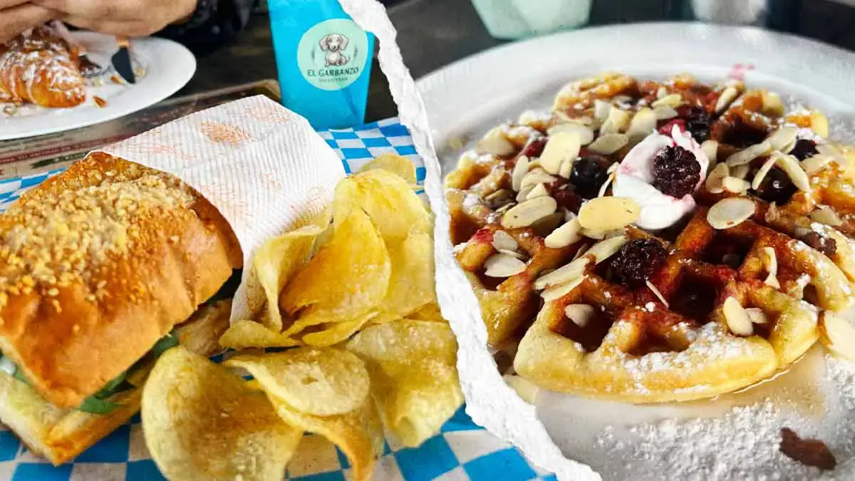 Descubre El Garbanzo, el food truck que conquista Cholula con baguettes y bagels